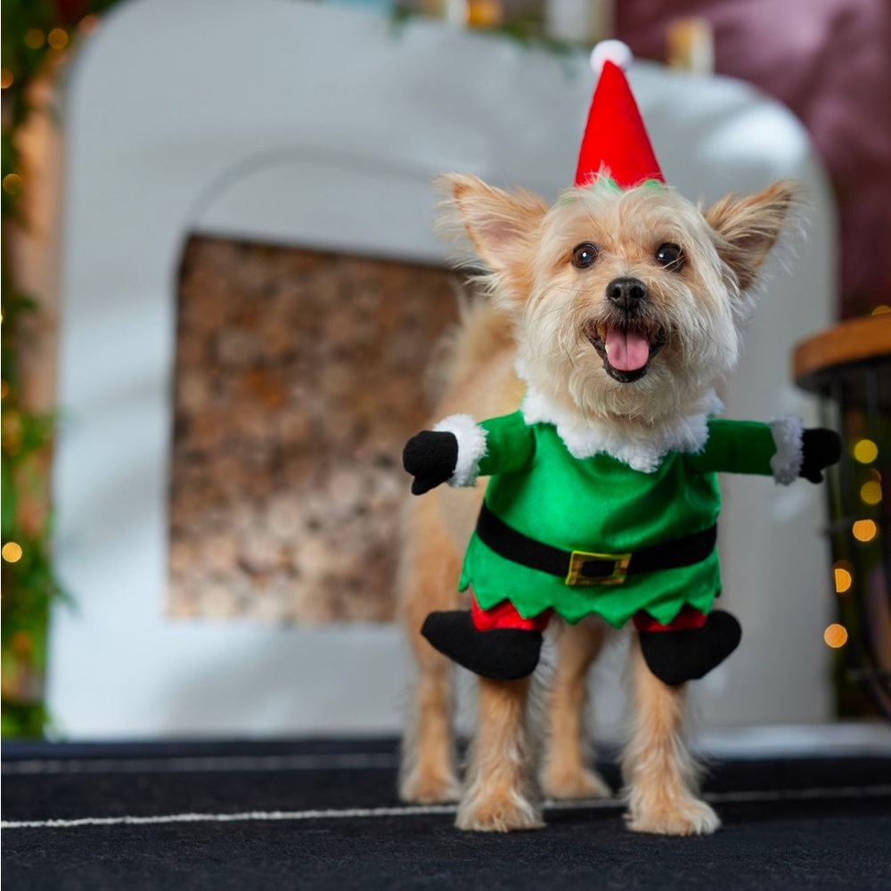Frisco Front Walking Elf Dog & Cat Costume, Small